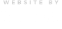 sayvee-footer-logo